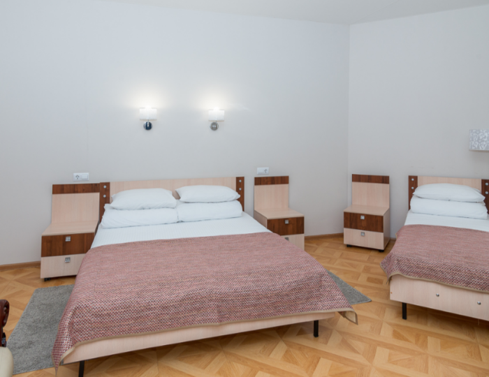 Полулюкс 3-местный - Санаторий «Парус» Бердск