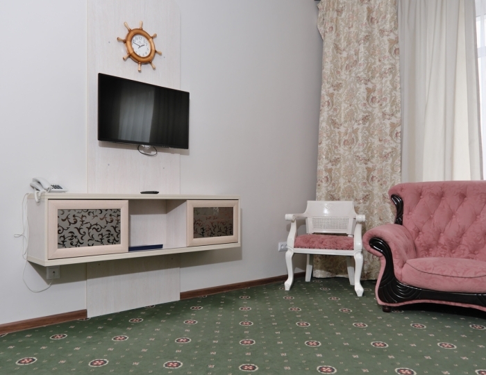 Стандарт  1-местный - Санаторий «Парус» Бердск