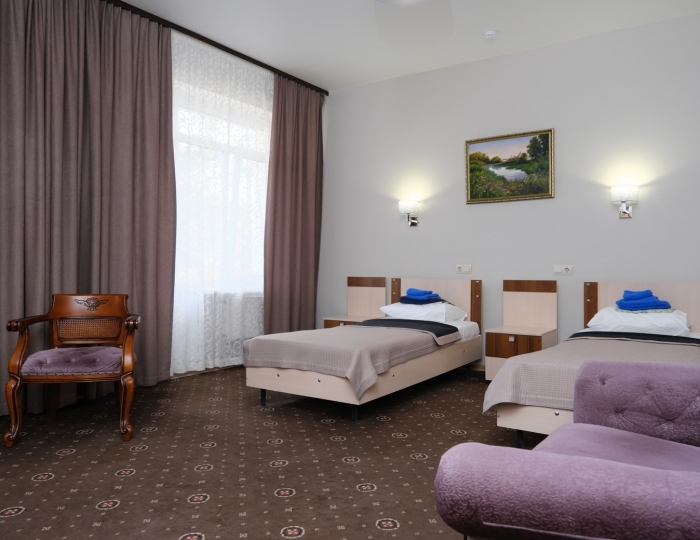 Стандарт  2-местный - Санаторий «Парус» Бердск