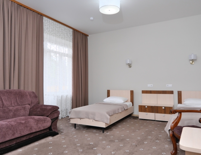 Стандарт  2-местный - Санаторий «Парус» Бердск