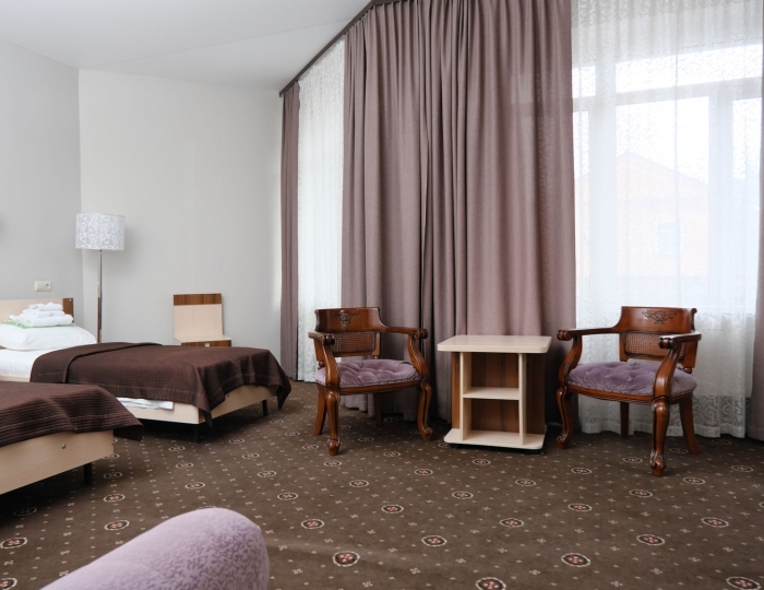 Стандарт  2-местный - Санаторий «Парус» Бердск